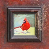 bitty cardinal