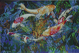 koi2_1100_150prints.jpg